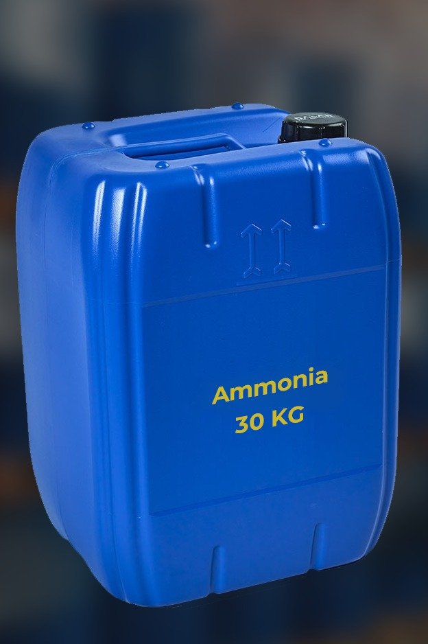 WhatsApp Image 2025 07 23 at 11.34.58 AM 2