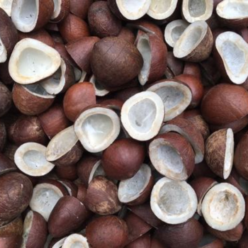 Dry Coconut